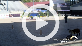 Play video